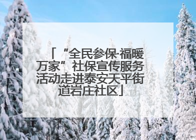 “全民参保·福暖万家”社保宣传服务活动走进泰安天平街道岩庄社区